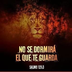 Meet your Posher, Eylin